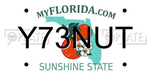 Y73NUT Florida License Plate