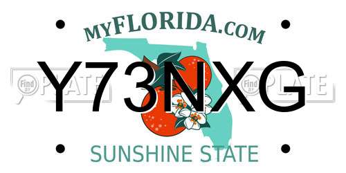 Y73NXG Florida License Plate