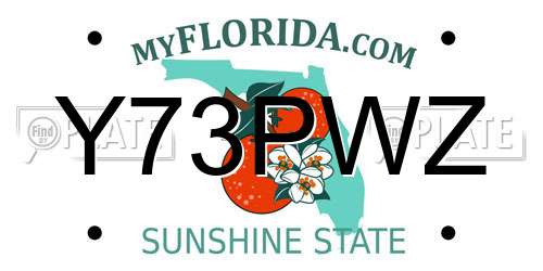 Y73PWZ Florida License Plate