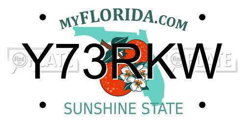 Y73RKW Florida License Plate