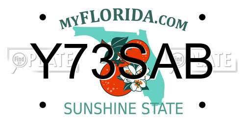 Y73SAB Florida License Plate