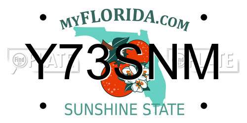 Y73SNM Florida License Plate