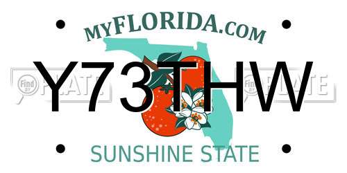 Y73THW Florida License Plate