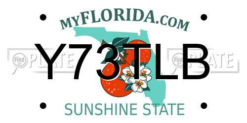 Y73TLB Florida License Plate