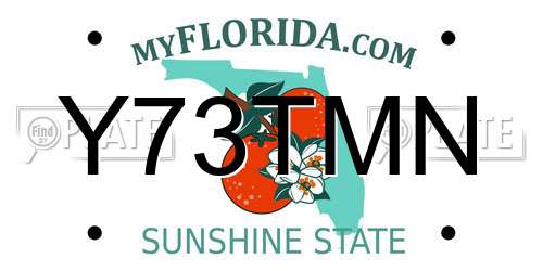 Y73TMN Florida License Plate