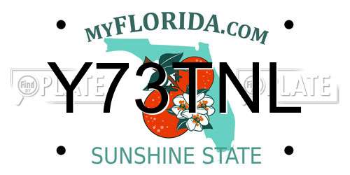 Y73TNL Florida License Plate