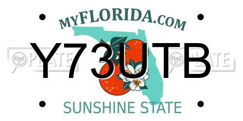 Y73UTB Florida License Plate
