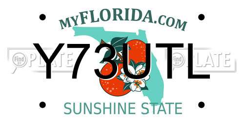 Y73UTL Florida License Plate