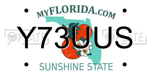 Y73UUS Florida License Plate