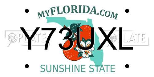 Y73UXL Florida License Plate