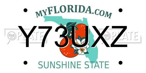Y73UXZ Florida License Plate