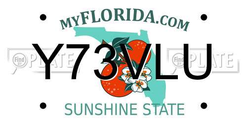 Y73VLU Florida License Plate