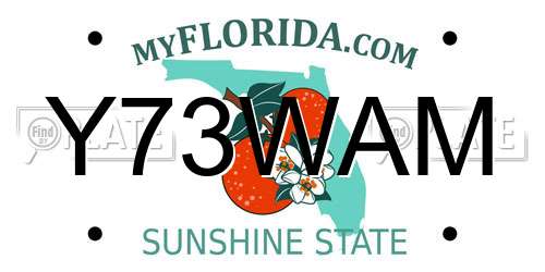 Y73WAM Florida License Plate