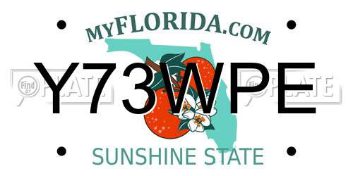 Y73WPE Florida License Plate