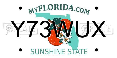 Y73WUX Florida License Plate