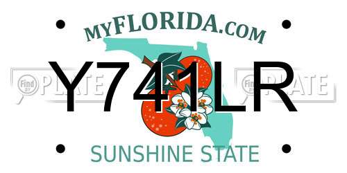 Y741LR Florida License Plate