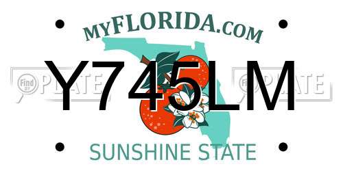 Y745LM Florida License Plate