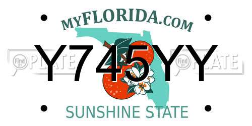 Y745YY Florida License Plate
