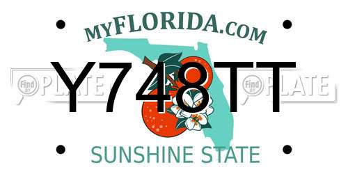 Y748TT Florida License Plate