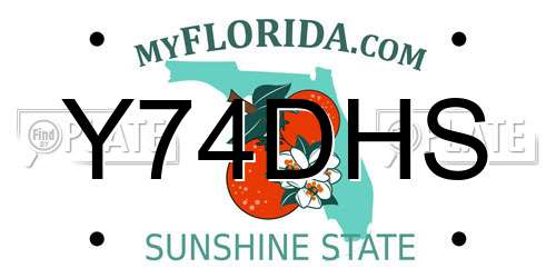 Y74DHS Florida License Plate