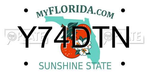 Y74DTN Florida License Plate