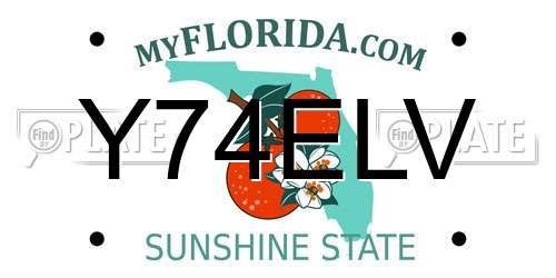 Y74ELV Florida License Plate