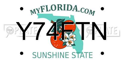 Y74FTN Florida License Plate
