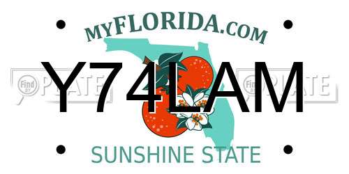 Y74LAM Florida License Plate