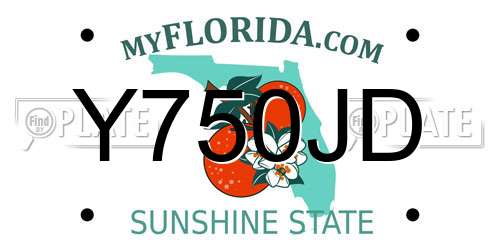 Y750JD Florida License Plate