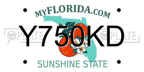Y750KD Florida License Plate