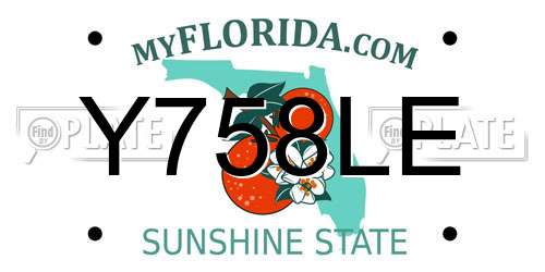 Y758LE Florida License Plate