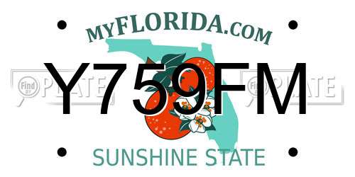 Y759FM Florida License Plate