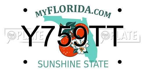 Y759TT Florida License Plate