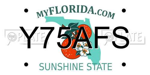 Y75AFS Florida License Plate