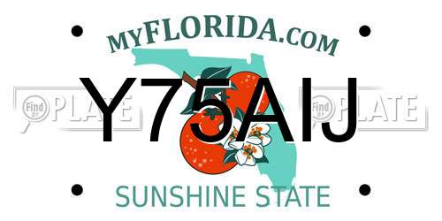 Y75AIJ Florida License Plate