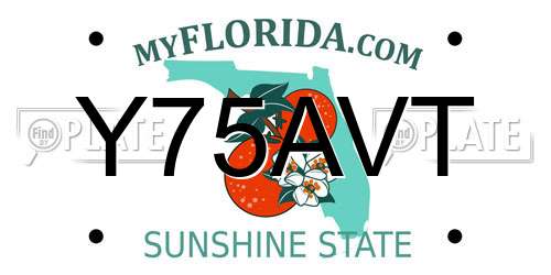 Y75AVT Florida License Plate