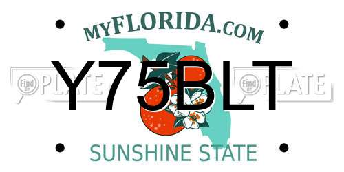 Y75BLT Florida License Plate