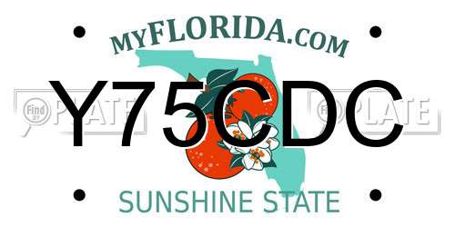 Y75CDC Florida License Plate
