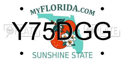 Y75DGG Florida License Plate