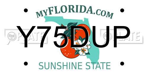 Y75DUP Florida License Plate