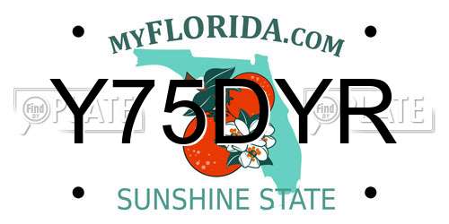 Y75DYR Florida License Plate