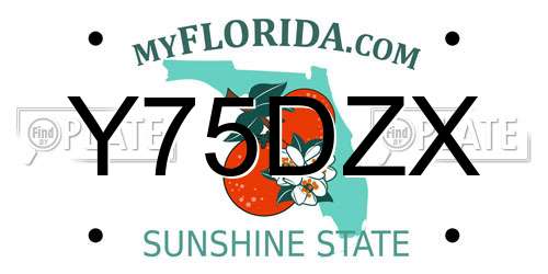 Y75DZX Florida License Plate