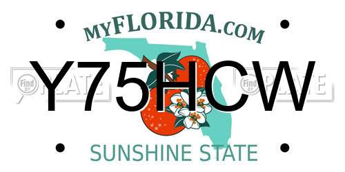 Y75HCW Florida License Plate