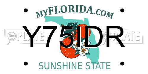 Y75IDR Florida License Plate