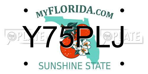 Y75PLJ Florida License Plate