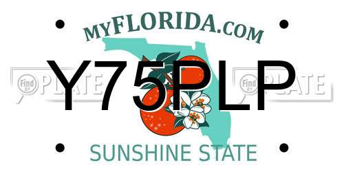 Y75PLP Florida License Plate