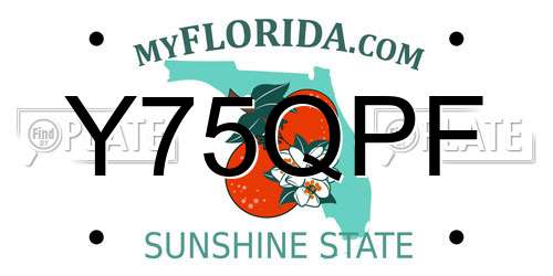 Y75QPF Florida License Plate