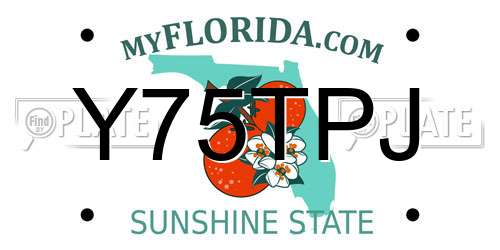 Y75TPJ Florida License Plate
