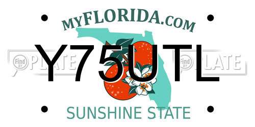Y75UTL Florida License Plate