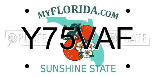 Y75VAF Florida License Plate